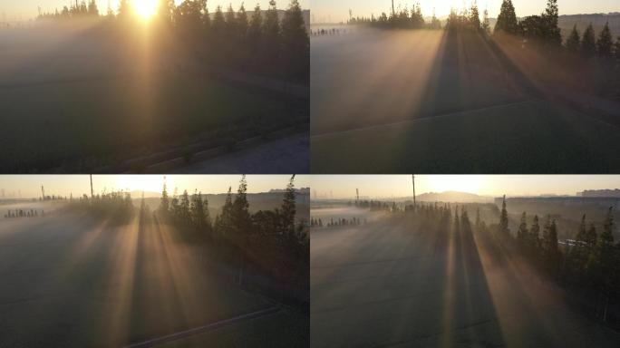 实景拍摄-晨雾-4K25帧