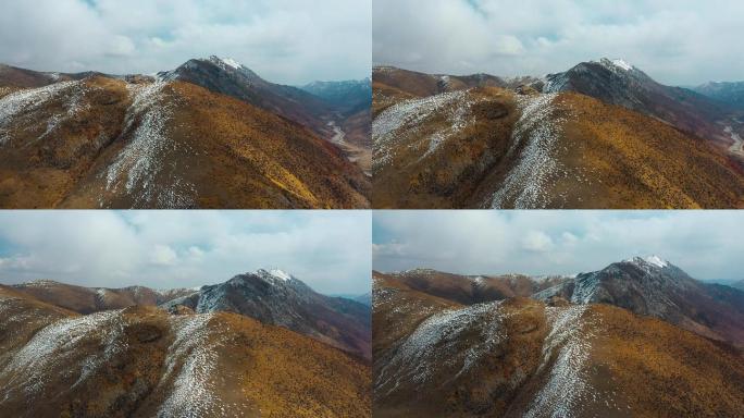 雪山牧场视频青藏高原冬季金色草地残雪