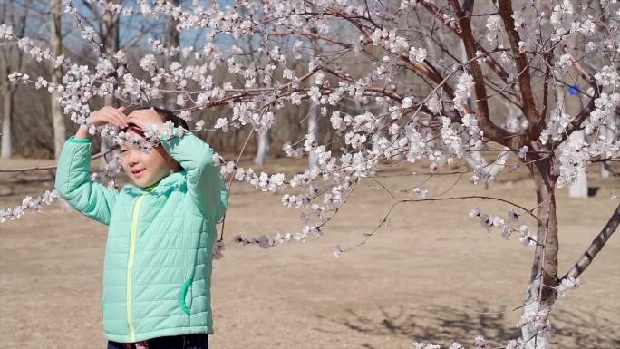 北京初春在盛开桃花的树下照相女孩