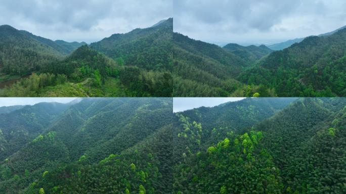 航拍大山深处原始森林青山绿水