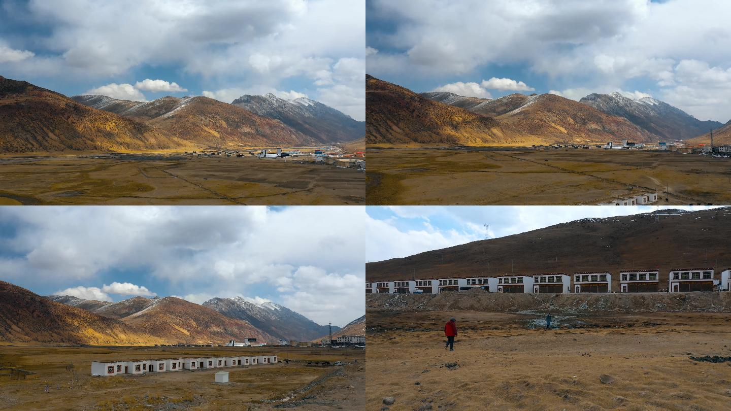 雪山牧场视频青藏高原冬季金色草地牧场村庄