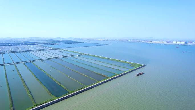 广州南沙湿地二十涌海边广东万里绿道航拍