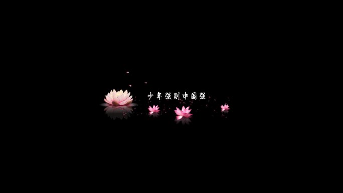 美丽花朵莲花字幕