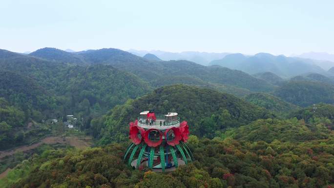 百里杜鹃数花峰