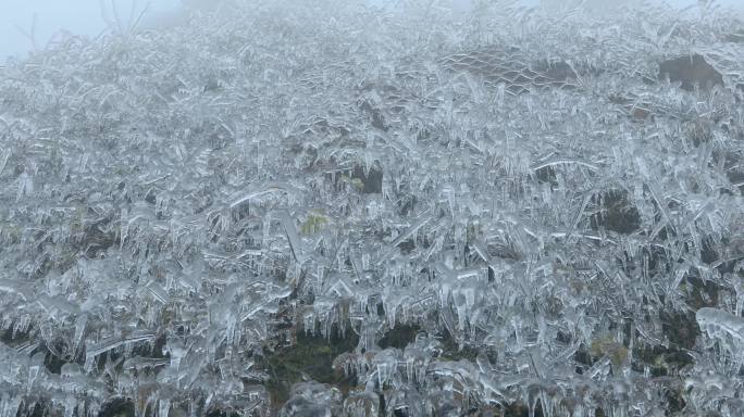 冰凌奇观冰雪美景冰凌冻雨晶莹剔透寒冬