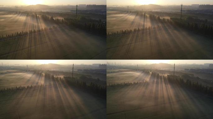 实景拍摄-晨雾-4K25帧
