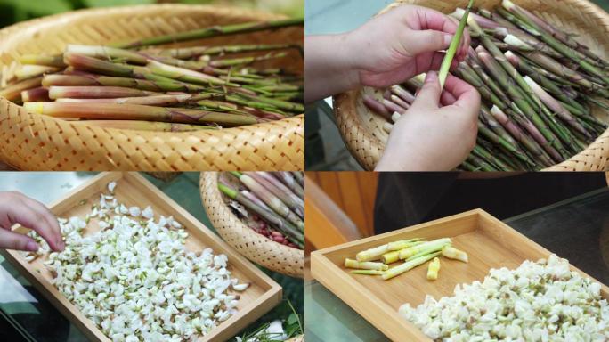 春天采摘野菜