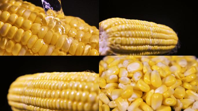 新鲜玉米实拍