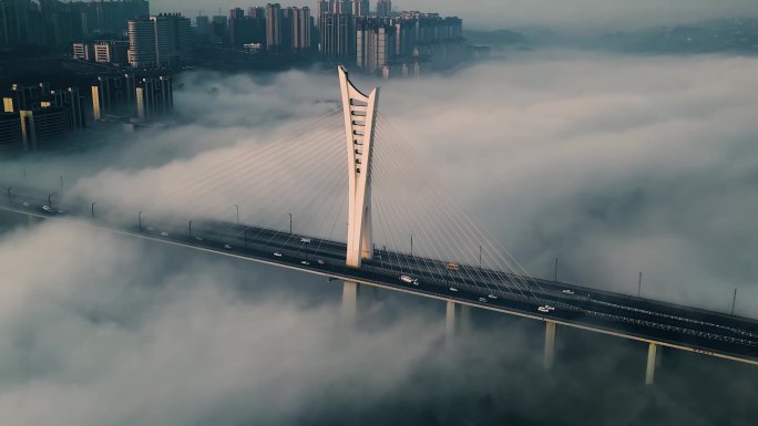 泸州 城市风景 沱江六桥 雾海 平流雾