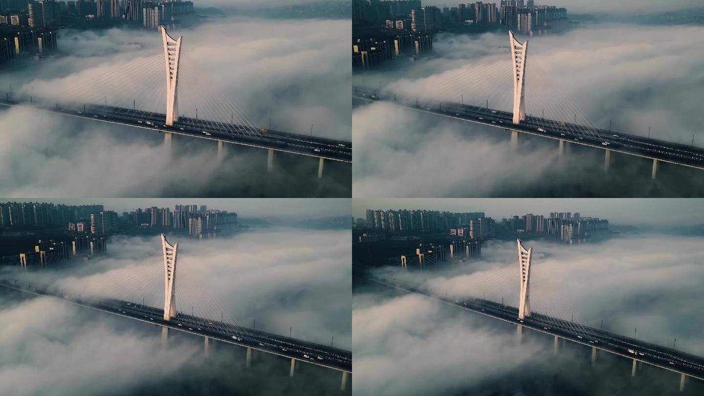 泸州 城市风景 沱江六桥 雾海 平流雾