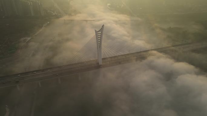 泸州 沱江六桥 城市风景  雾海 平流雾