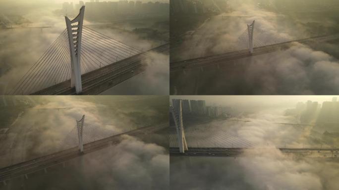 泸州 沱江六桥 城市风景  雾海 平流雾