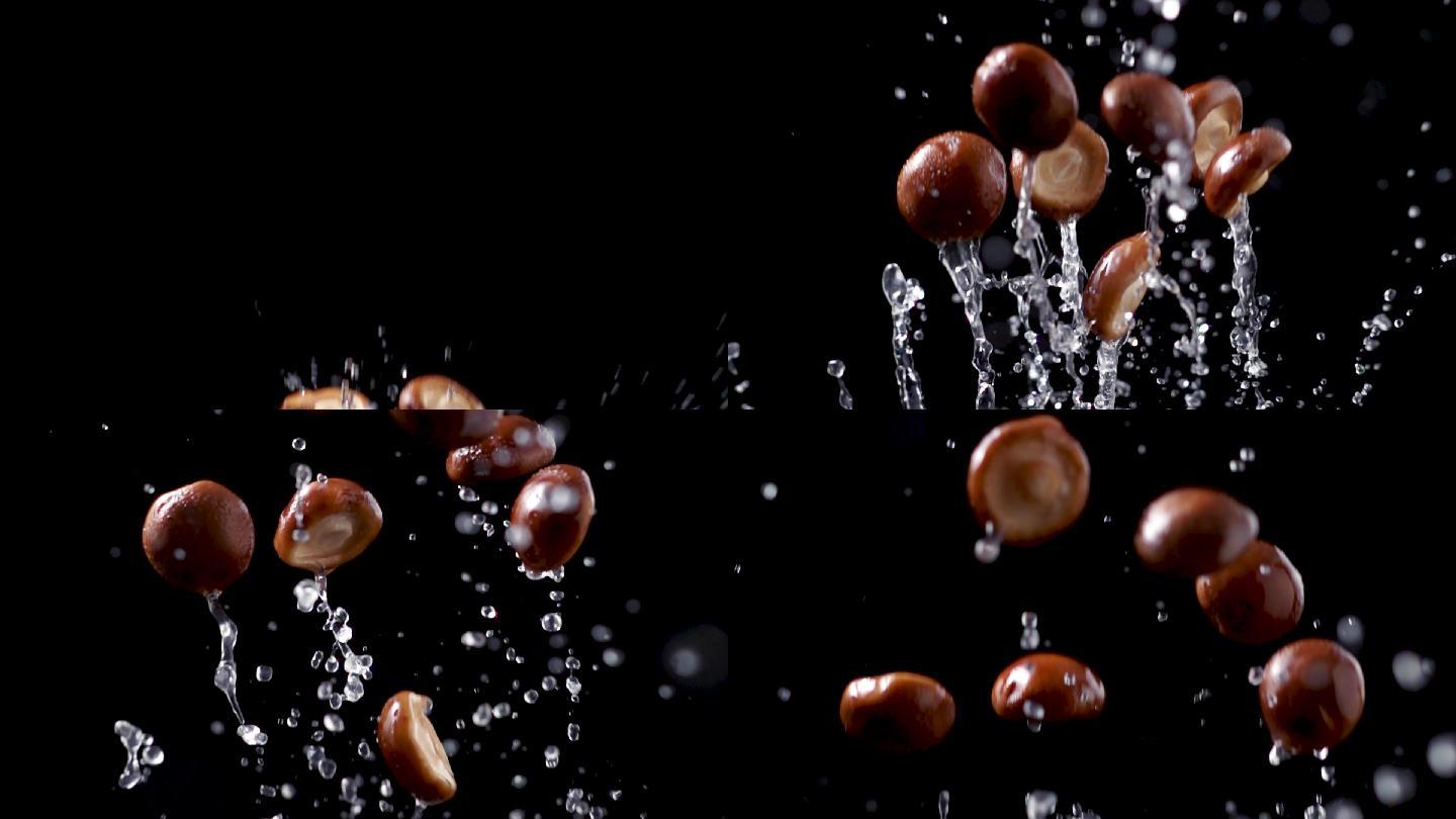 香菇带水花飞起实拍升格素材