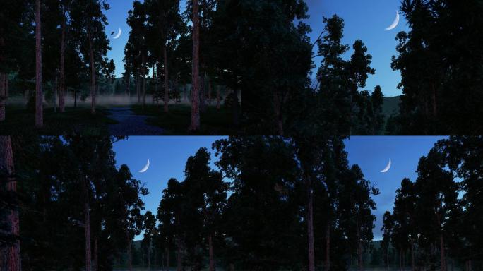 夜空大自然森林月光