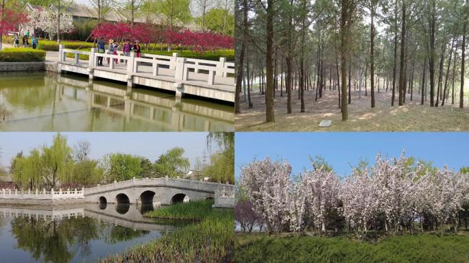 公园 园博园公园春天风景唯美阳光北京地标