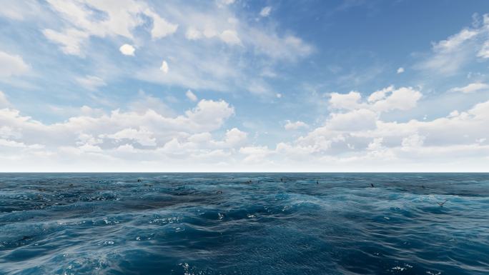 大海海鸟海浪白云动画