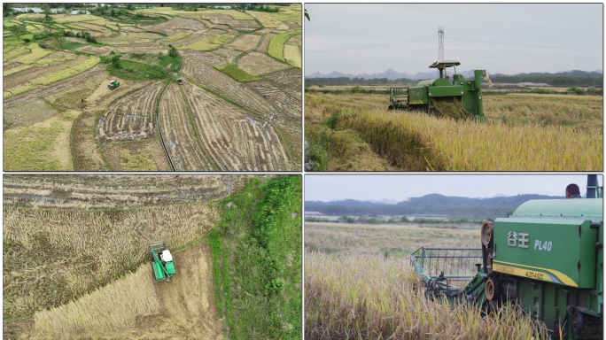 机械化收割水稻