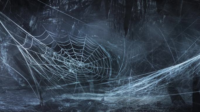 蜘蛛网 网状 蜘蛛洞