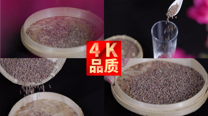 冲泡荞麦茶苦荞茶翻滚唯美品茗养生健康4k