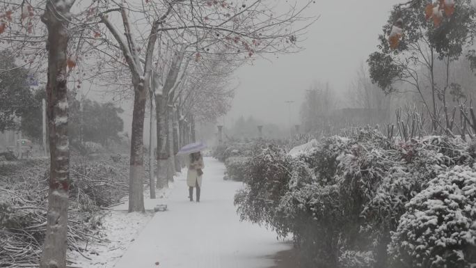 行走在风雪城市