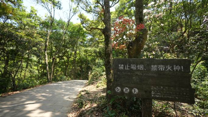 山路 山道 路牌 路标 指示牌 梧桐山