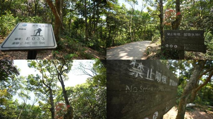 山路 山道 路牌 路标 指示牌 梧桐山