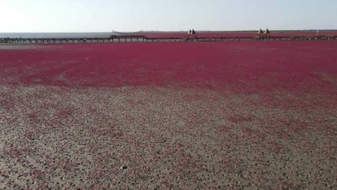 航拍湿地公园