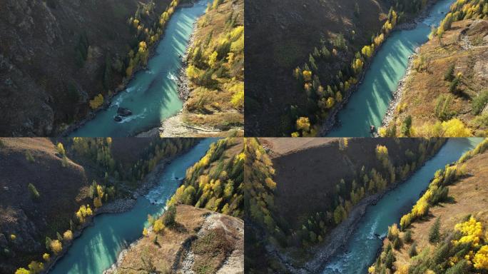 新疆阿勒泰禾木秋景森林河流高清航拍