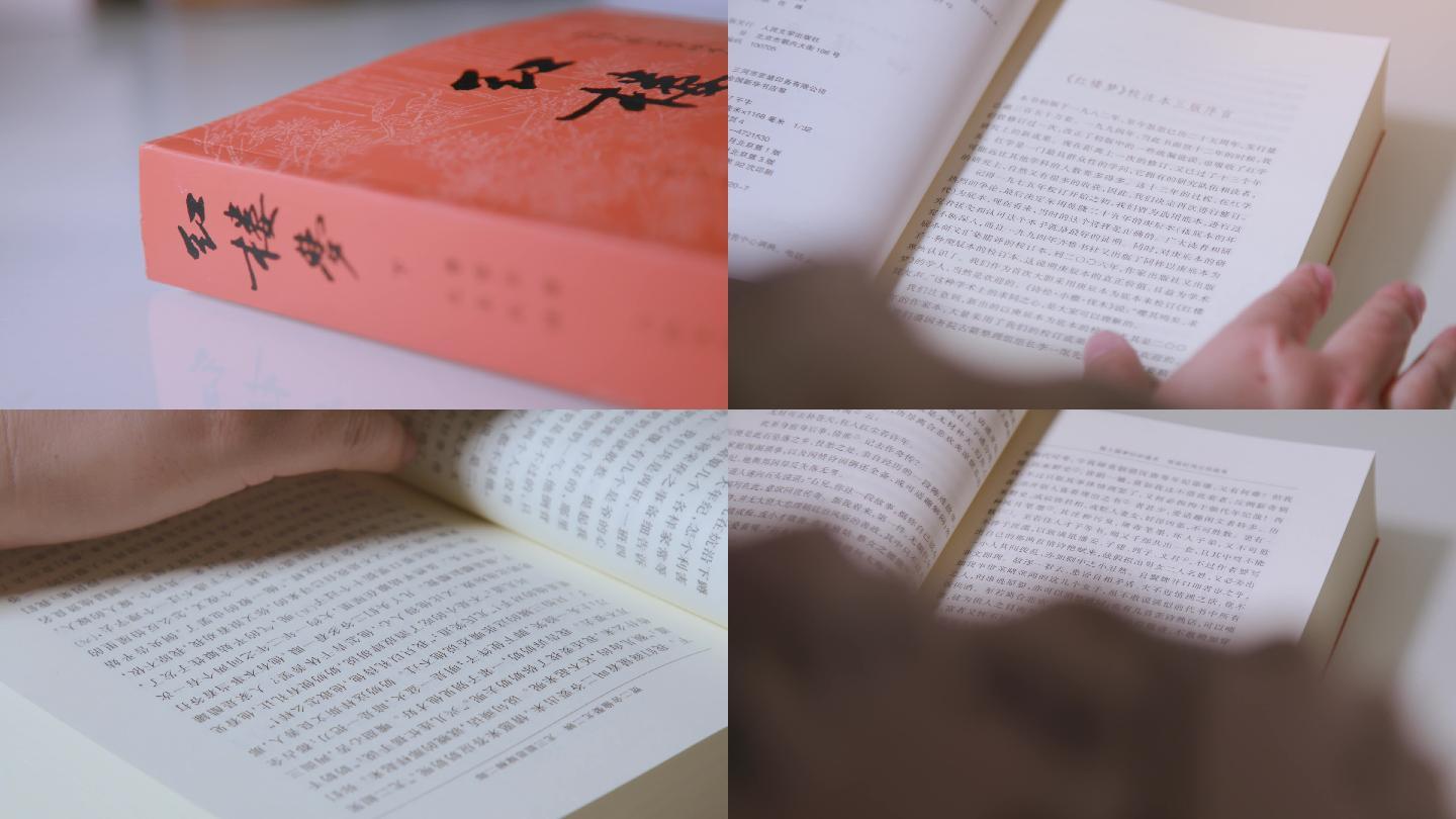 红楼梦-中国古典文学作品