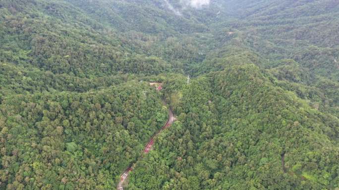 航拍五指山阿陀岭森林公园