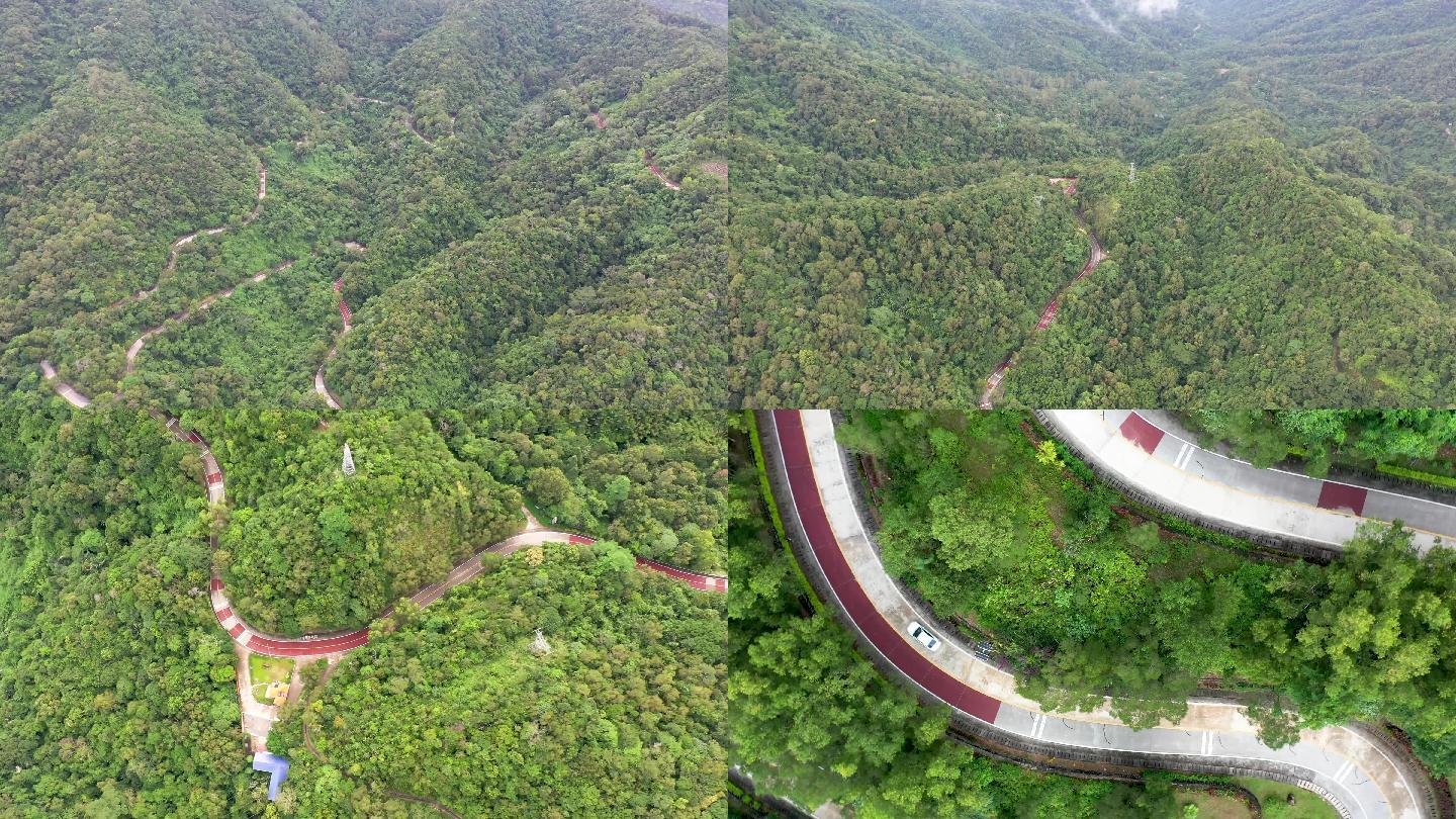 航拍五指山阿陀岭森林公园