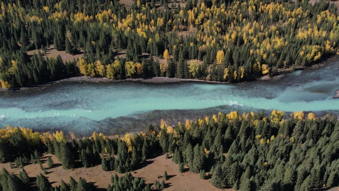 新疆阿勒泰禾木秋景森林河流高清航拍