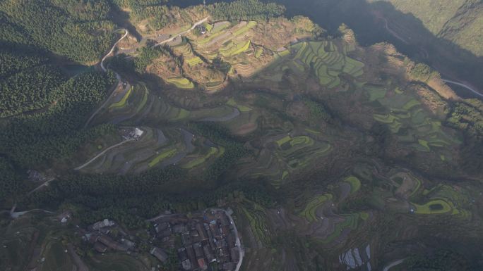 浙江丽水南尖岩梯田