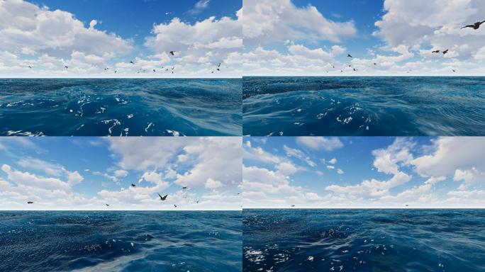 大海海鸟海浪白云动画