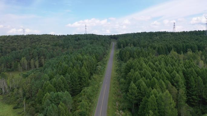 绿水青山   森林 大自然  公路 航拍