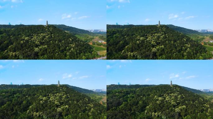 航拍广西南宁青秀山风景区龙象塔