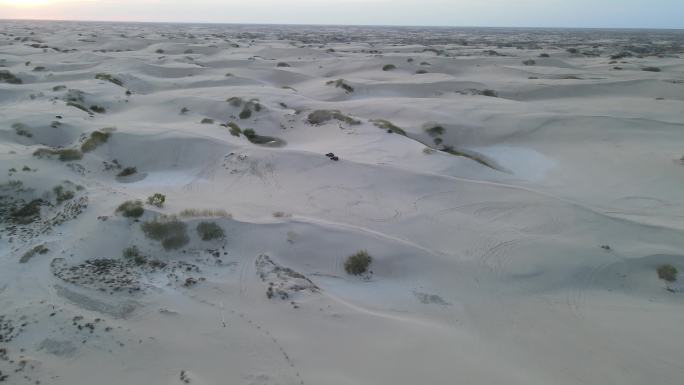 沙漠 沙漠中行驶的越野车