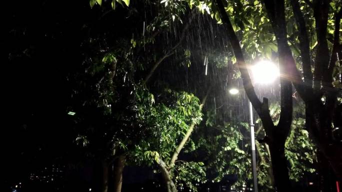 谷雨夜雨夜春雨下雨雨景唯美雨季街道雨景