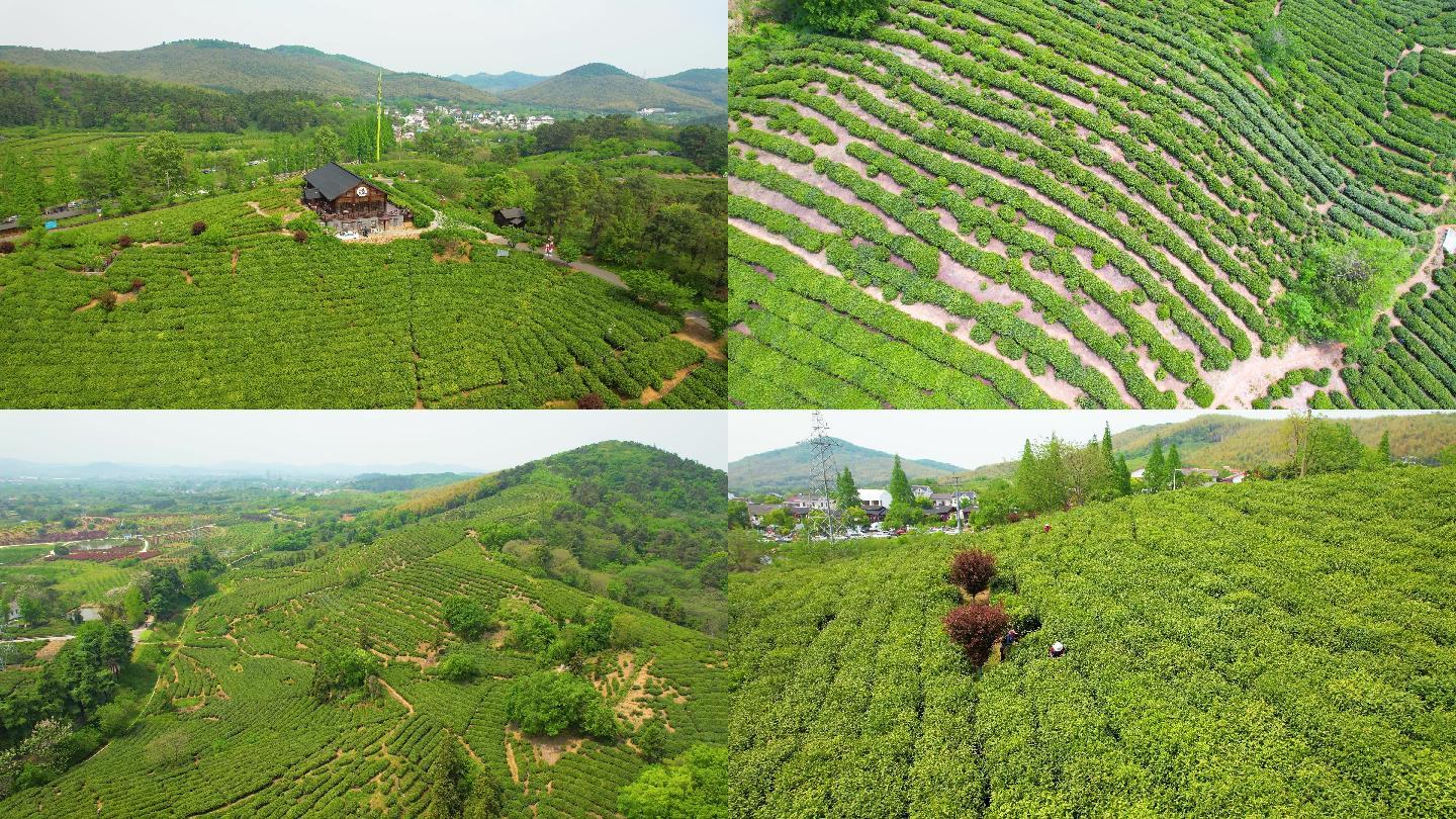 黄龙岘茶山