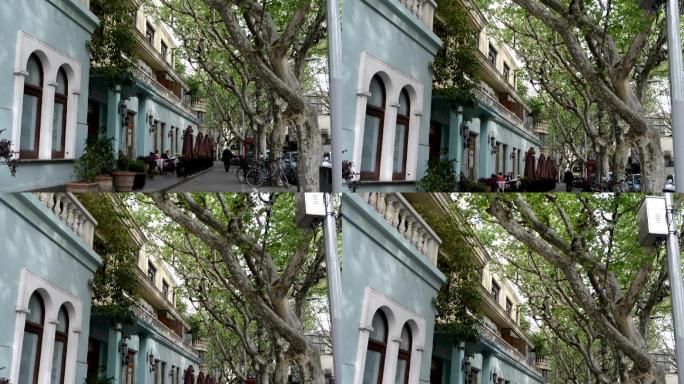 上海洋房树荫街道空镜
