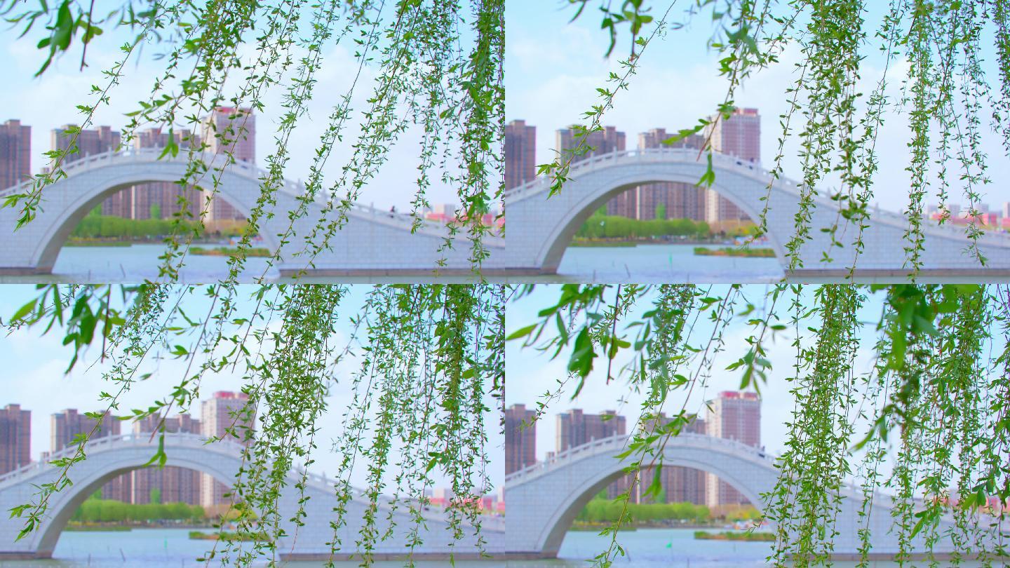 春风-湖水-拱桥-柳叶飘动