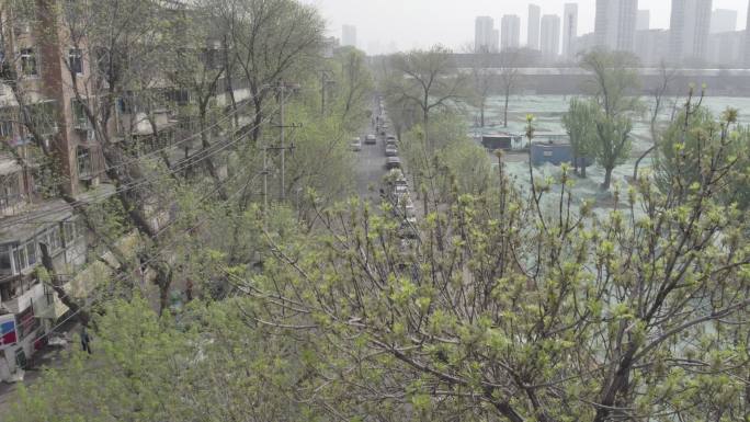 天津航拍 街道 马路 行人  小区街道