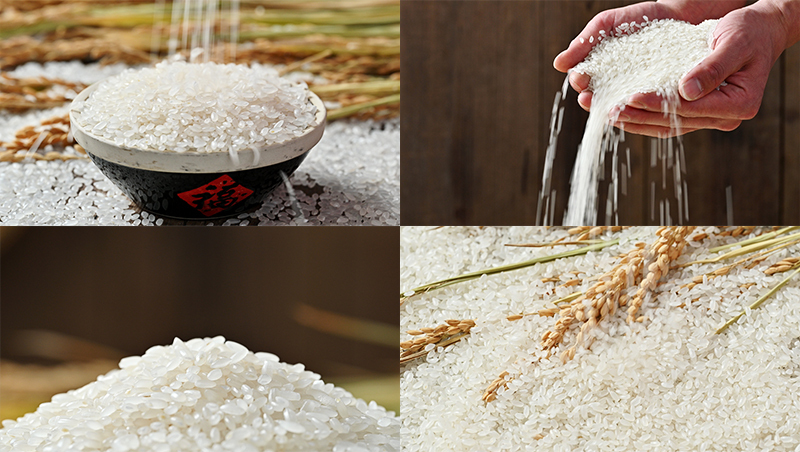 大米珍珠米粒东北大米