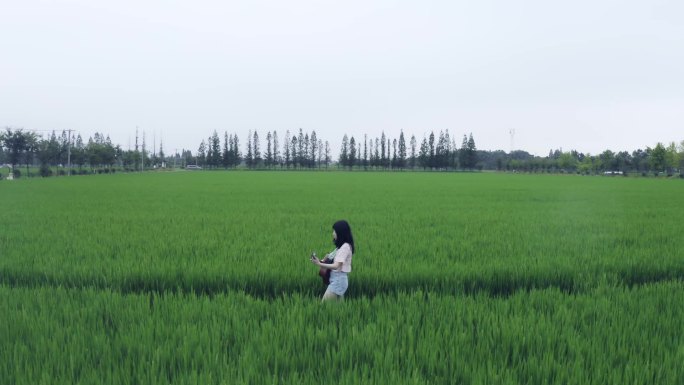 女子在稻田弹着吉他