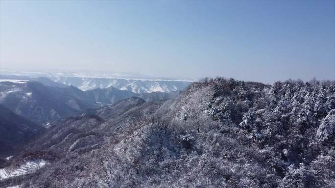 雪景 冬季雾凇