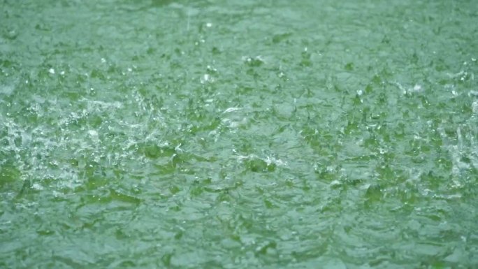 雨滴落入水中溅起水花慢镜头