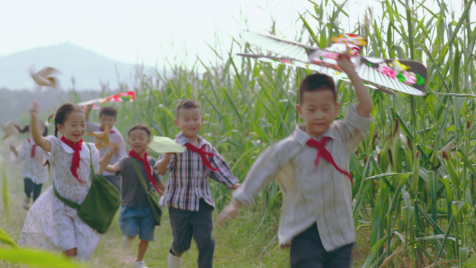 4K田地农村风筝小孩奔跑
