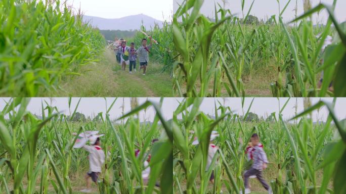 4K田地农村风筝小孩奔跑