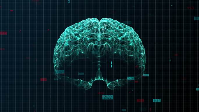 4K3D大脑激光扫描素材