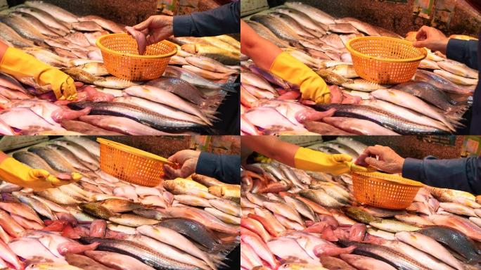 4K正版-农贸市场居民买鱼买海鲜视频素材